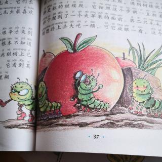 百子园三班肖闻佳《四只毛毛虫🐛》