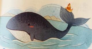 小海螺和大鲸鱼