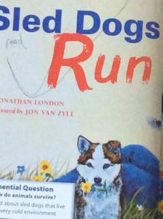 G2  Literature U2W1 - Sled dogs run