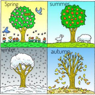 Fun Stage-Four seasons