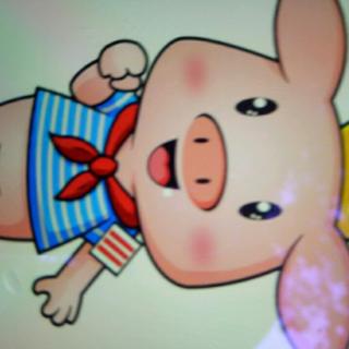 《一只小猪的故事》