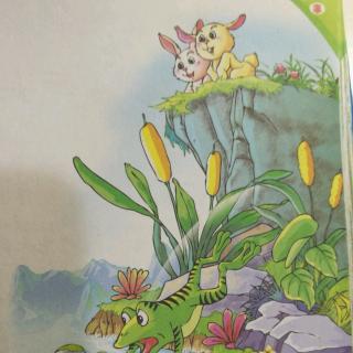 兔子和青蛙