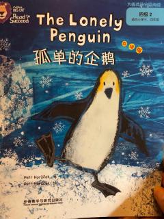 29－The lonely penguin孤单的企鹅