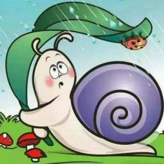小蜗牛长大了