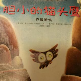 胆小的小猫头鹰，湖北长江出版社