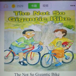 The Not so Gigantic Bike