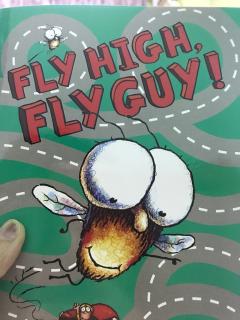 fly high ，fly guy！