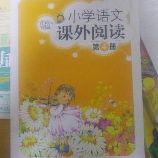 21《识字7》《大雁和鸭子》