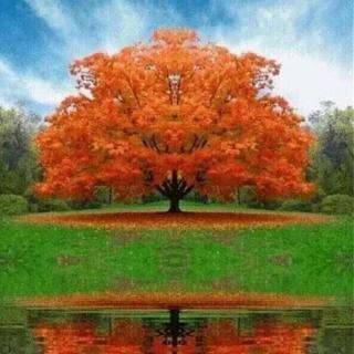 【371-375】在线收听_little cat 93 95927615_荔枝