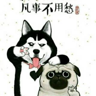 小猴上当🔔🔔