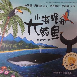 睡前故事-小海螺和大鲸鱼