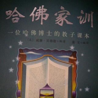 《  一条小面包 》