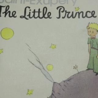 The Little Prince 7