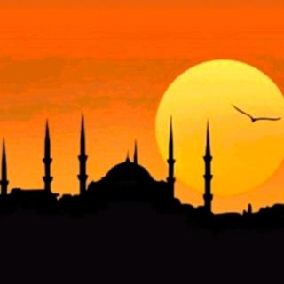 【行走土耳其】伊斯坦布尔 之 蓝色清真寺
