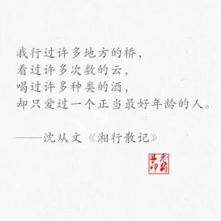 沈从文致张兆和——序言