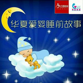 华夏爱婴睡前故事《哄兔宝宝睡觉💤》