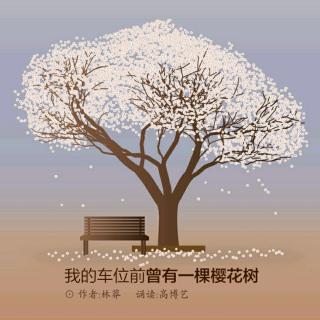 我车位前曾有一棵樱花树        作者：林莽    诵读：高博艺