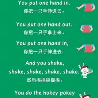 hokeypokey图片