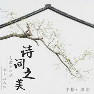 爱他明月好， 憔悴也相关