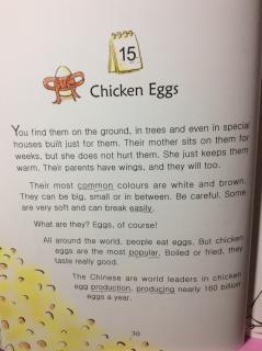 3-15 Chicken eggs