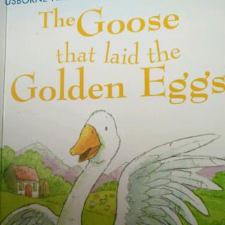 jenny-the goose that laid the golden eggs20180429