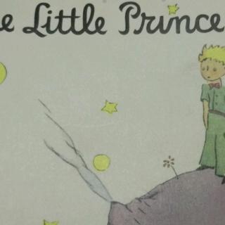 The Little Prince 11