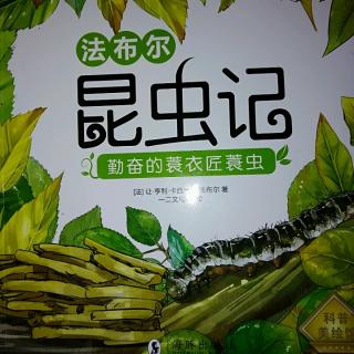 《勤奋的蓑衣匠蓑虫》