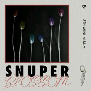SNUPER ― Tulips