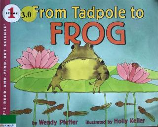 from tadpole to frog