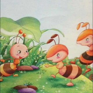 金鼎实验幼儿园睡前故事015—《当小蚂蚁没有家的时候》