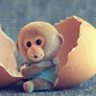 《猴子🐵偷鸡蛋》