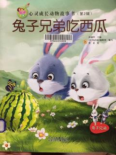 兔子兄弟吃西瓜