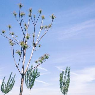 《差不多先生的日记  二》