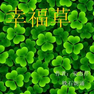 《幸福草》作者：安志芹 ；铁石朗诵