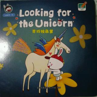 Looking for the Unicorn-寻找独角兽