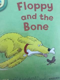 floppy and the bone