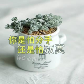 你是怕分手，还是怕寂寞？