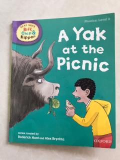 A yak at the picnic and A man in the mud