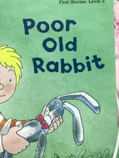 poor old rabbit