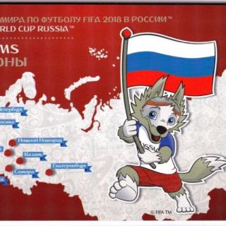 俄罗斯世界杯筹备资金