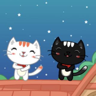 黑猫·白猫