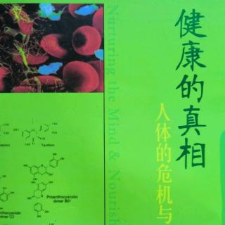 （五、六、七）内分泌系统   泌尿系统   消化系统