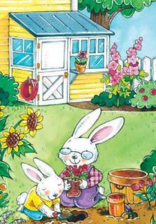 金鼎实验幼儿园睡前故事018—《小兔子的大花园》