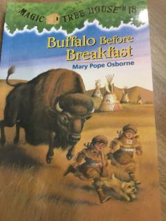Buffalo before breakfast  1,2