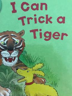 i can trick a tiger