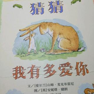 猜猜我有多爱你