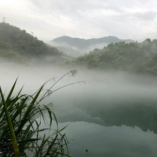 林间小溪