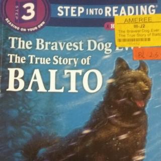 28180425The bravest dog ever, the true story of Balto