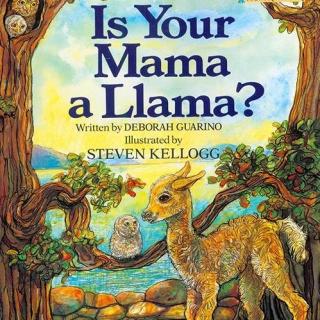 【凯西双语版】Is Your Mama a Llama? 你的妈妈是羊驼吗？