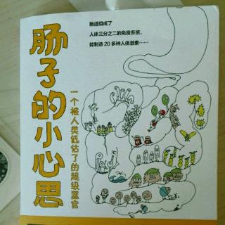 肠道里的微生物世界